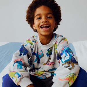 Everyday Printed Sweatshirt-Grey Dinos